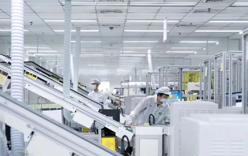 林雪萍 IT巨頭隱形推手，中國液晶屏崛起背后的AI軟件力量